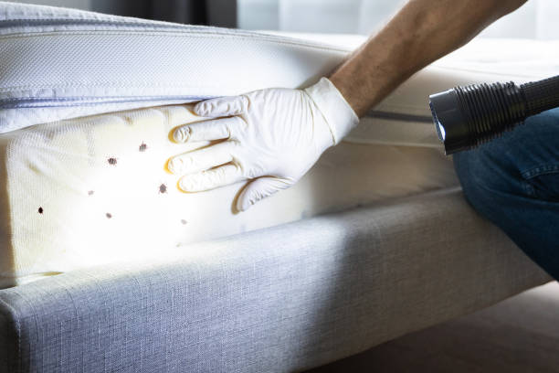 Best Bed Bug Extermination  in Ridgetop, TN