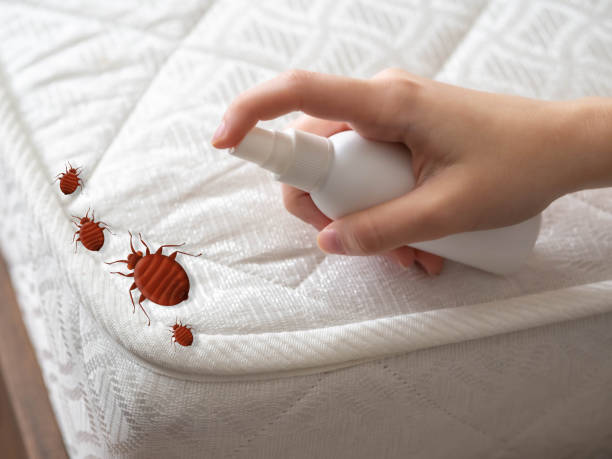 Professional Pest Control in Ridgetop, TN