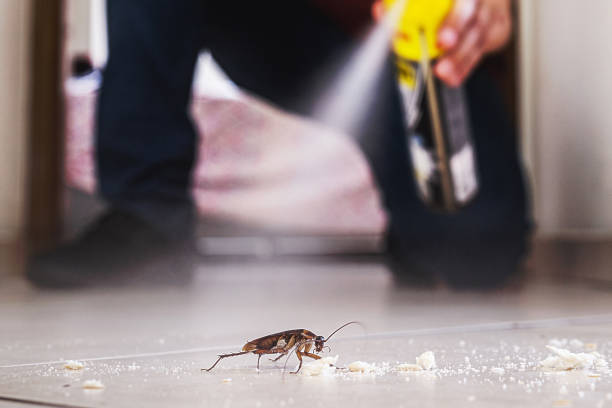 Best Mosquito Control Services  in Ridgetop, TN