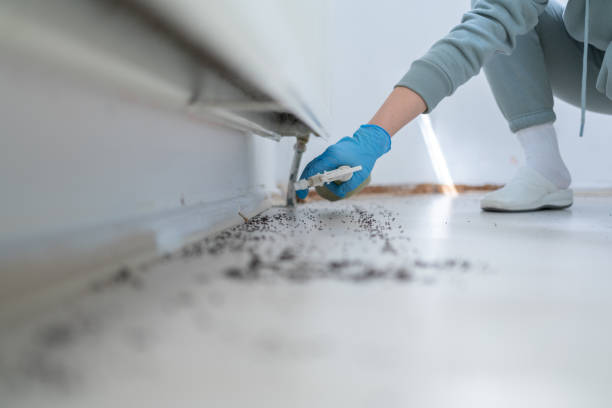 Best Best Pest Control Companies  in Ridgetop, TN